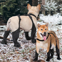 SecureFit Waterproof Dog Shoes